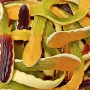 Yellow Bellies